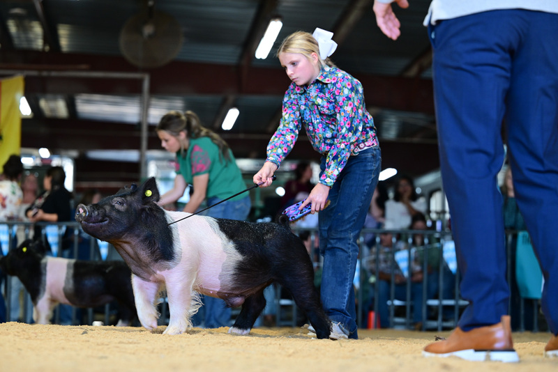 25GTT- RingAHamps-8272.jpg