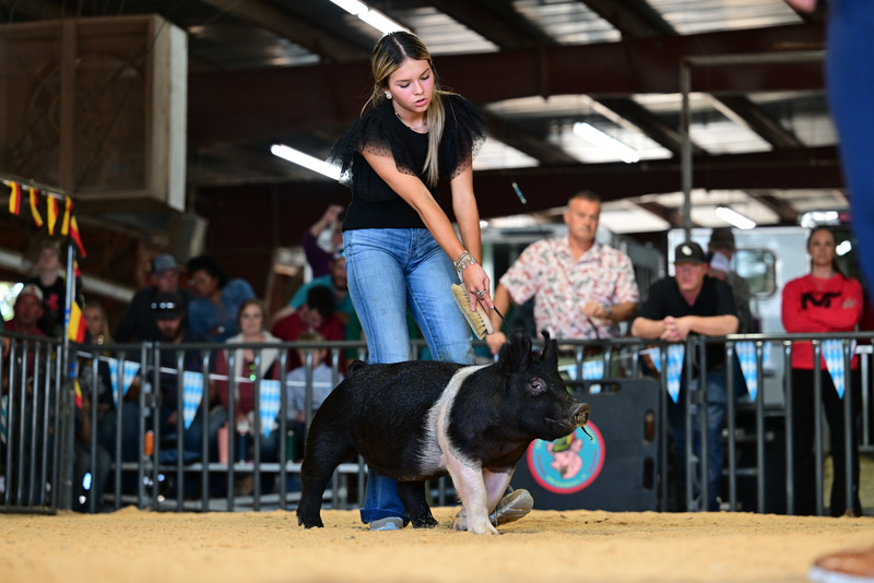 25GTT- RingAHamps-8276.jpg