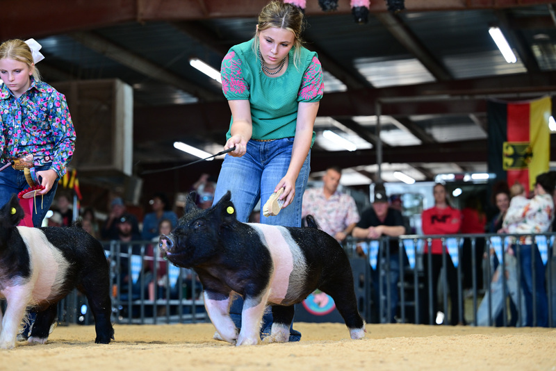 25GTT- RingAHamps-8277.jpg