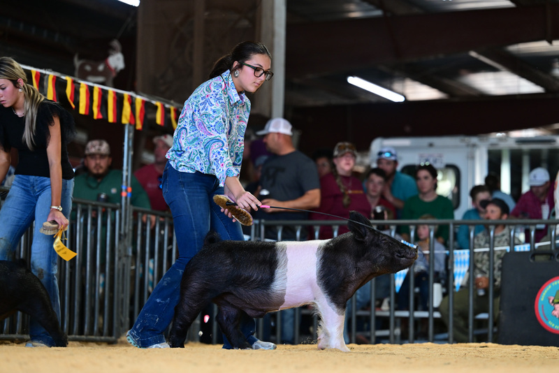 25GTT- RingAHamps-8279.jpg