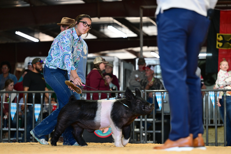 25GTT- RingAHamps-8281.jpg