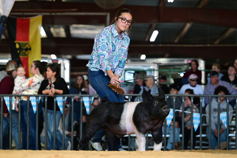 25GTT- RingAHamps-8283.jpg