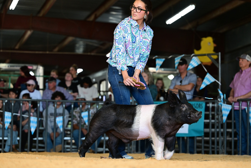 25GTT- RingAHamps-8286.jpg