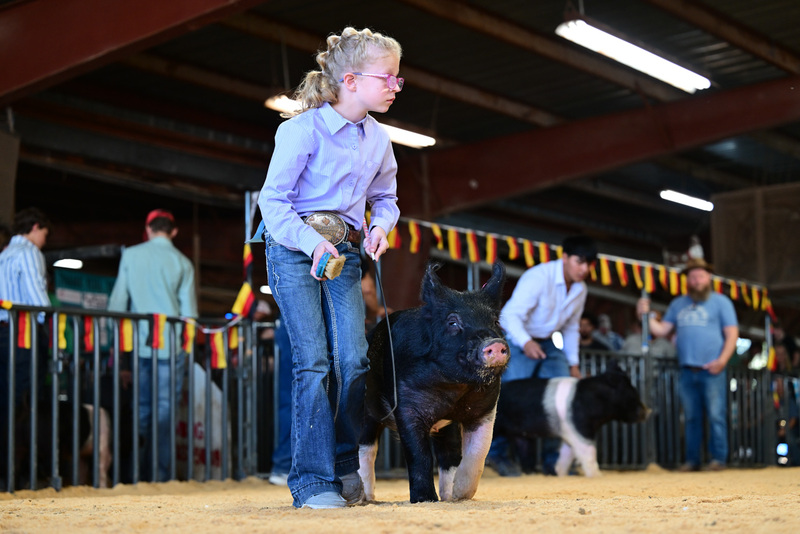 25GTT- RingAHamps-8289.jpg