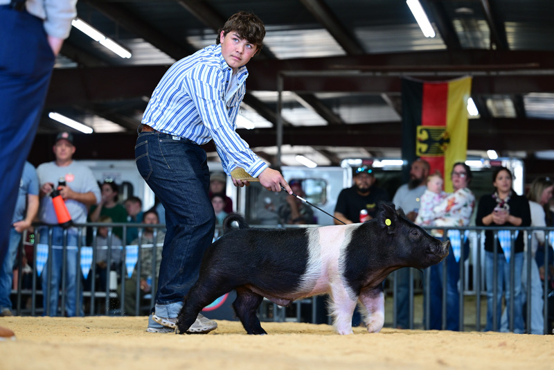 25GTT- RingAHamps-8290.jpg