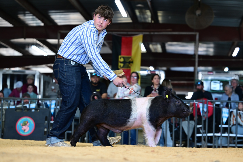 25GTT- RingAHamps-8291.jpg