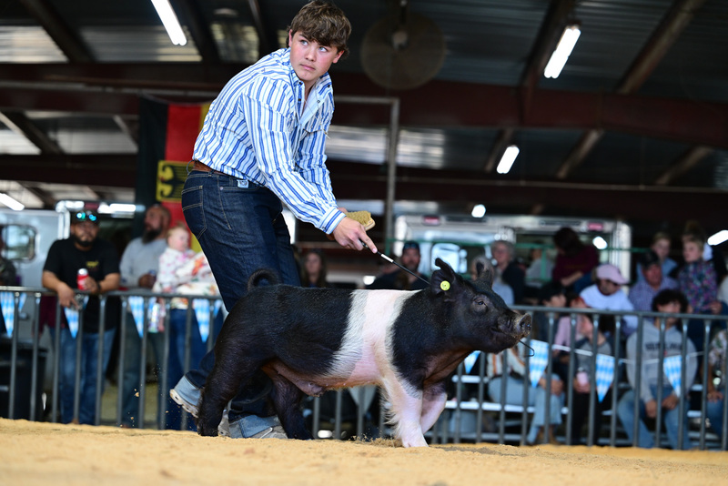 25GTT- RingAHamps-8292.jpg