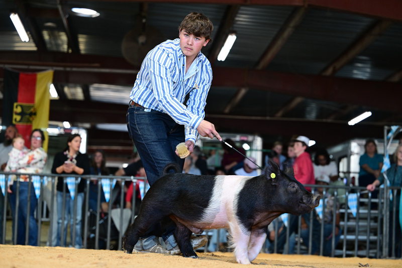 25GTT- RingAHamps-8293.jpg