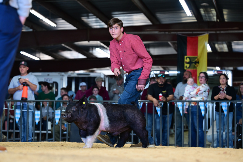 25GTT- RingAHamps-8294.jpg