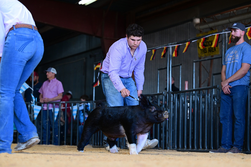 25GTT- RingAHamps-8295.jpg