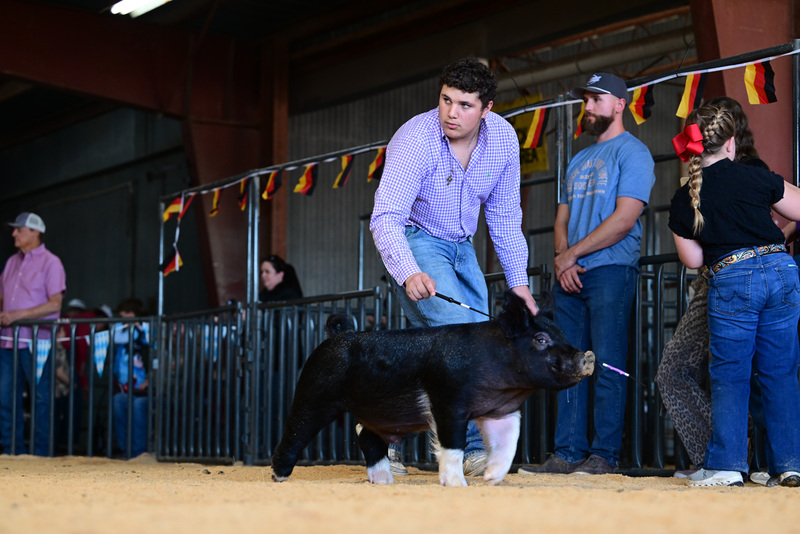 25GTT- RingAHamps-8296.jpg