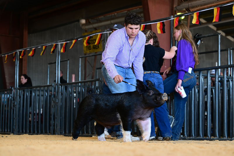 25GTT- RingAHamps-8297.jpg