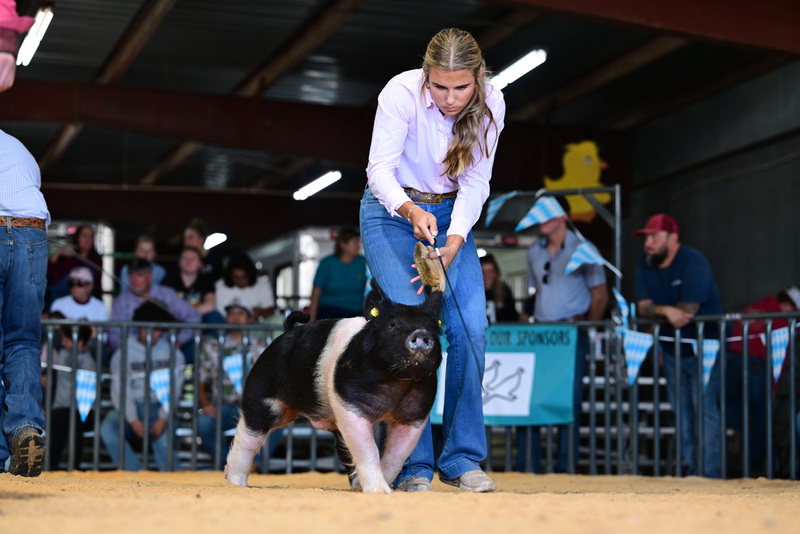 25GTT- RingAHamps-8298.jpg