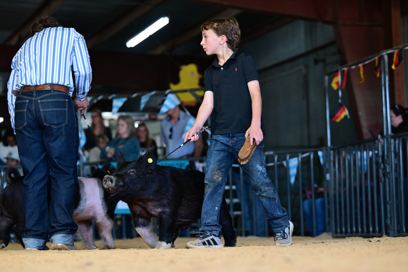 25GTT- RingAHamps-8300.jpg