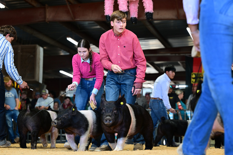 25GTT- RingAHamps-8304.jpg