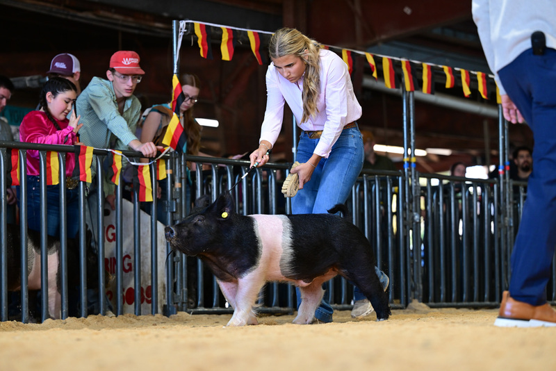 25GTT- RingAHamps-8306.jpg