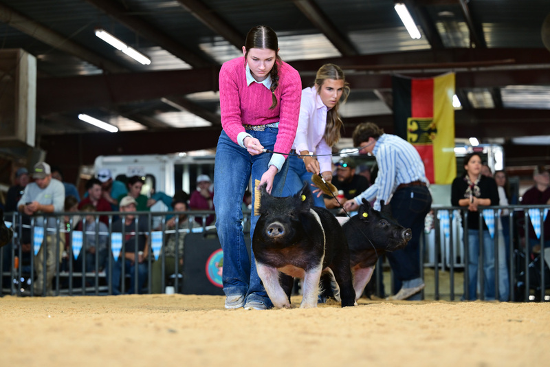 25GTT- RingAHamps-8308.jpg