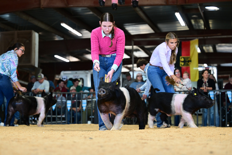 25GTT- RingAHamps-8309.jpg