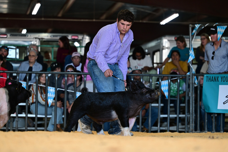 25GTT- RingAHamps-8311.jpg