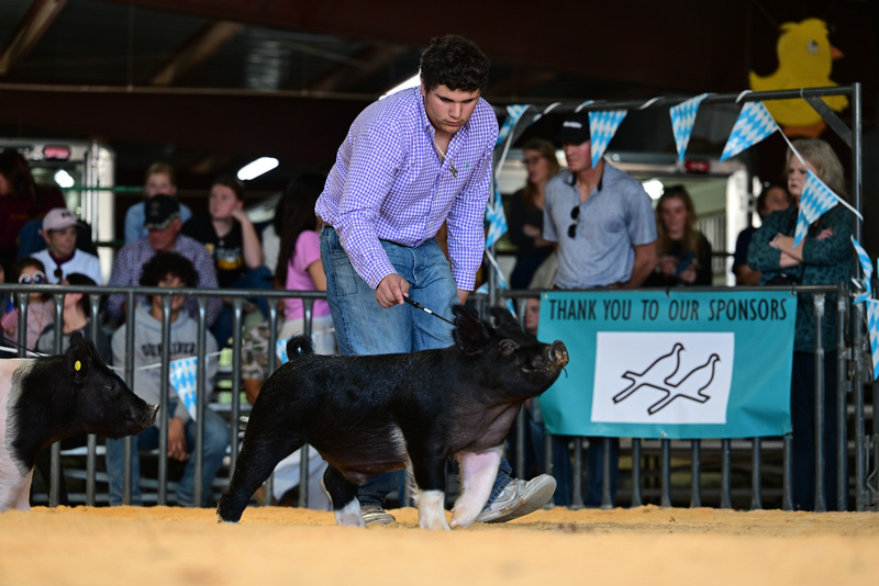 25GTT- RingAHamps-8312.jpg