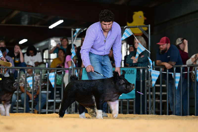 25GTT- RingAHamps-8313.jpg