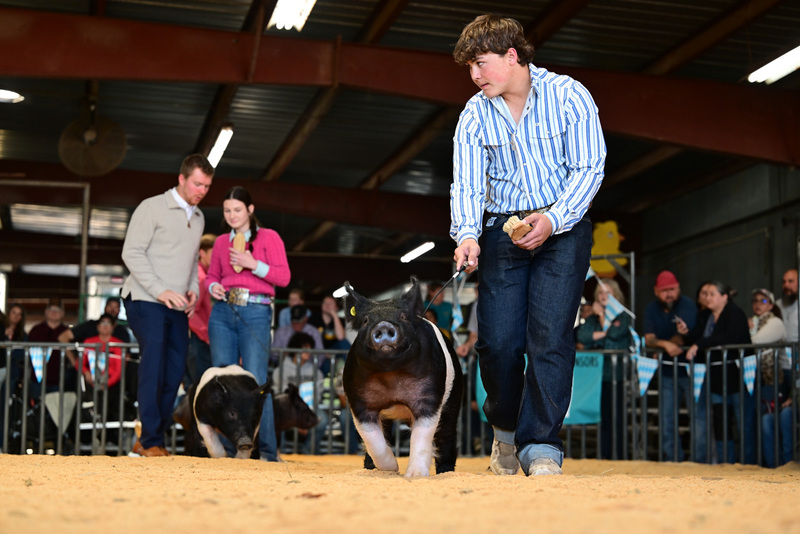 25GTT- RingAHamps-8314.jpg