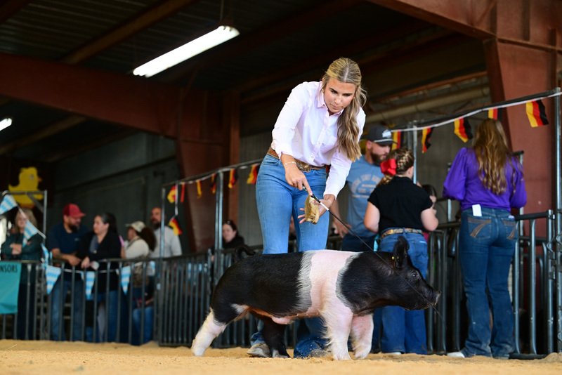 25GTT- RingAHamps-8316.jpg