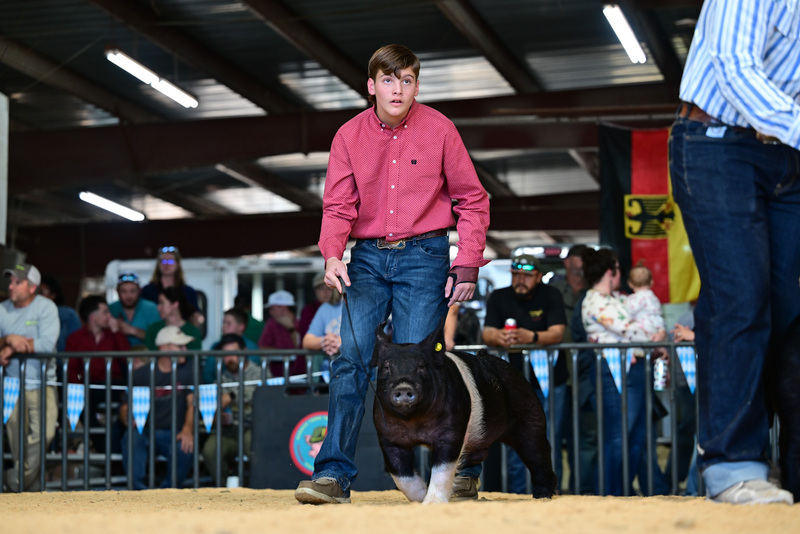 25GTT- RingAHamps-8317.jpg