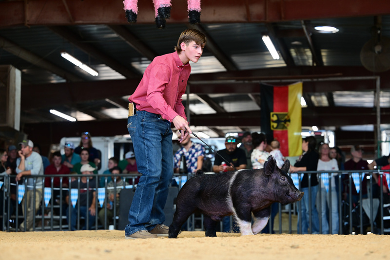 25GTT- RingAHamps-8318.jpg