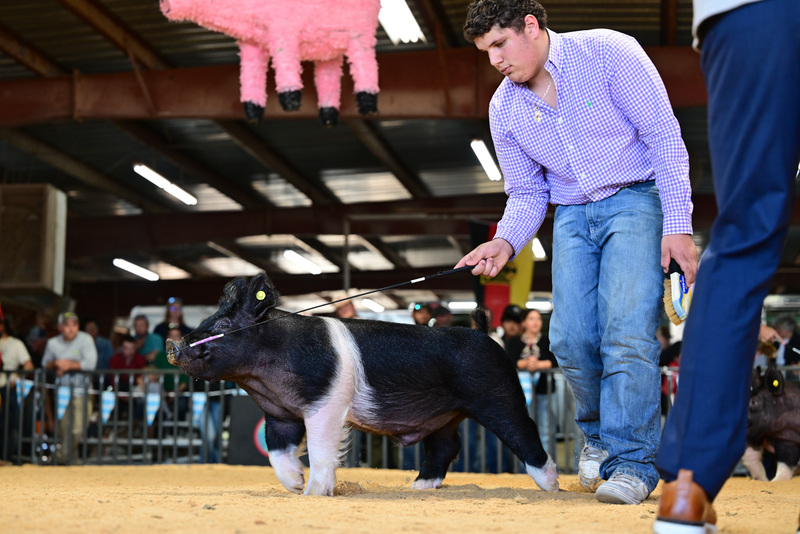 25GTT- RingAHamps-8321.jpg