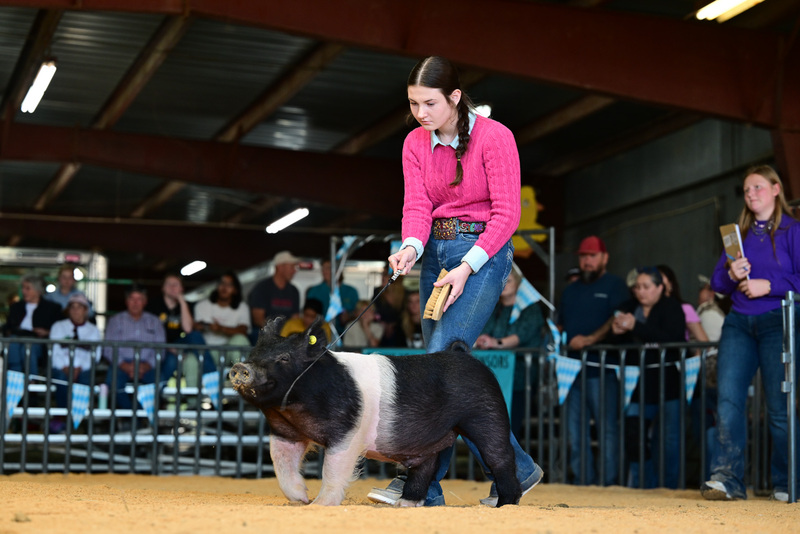 25GTT- RingAHamps-8325.jpg