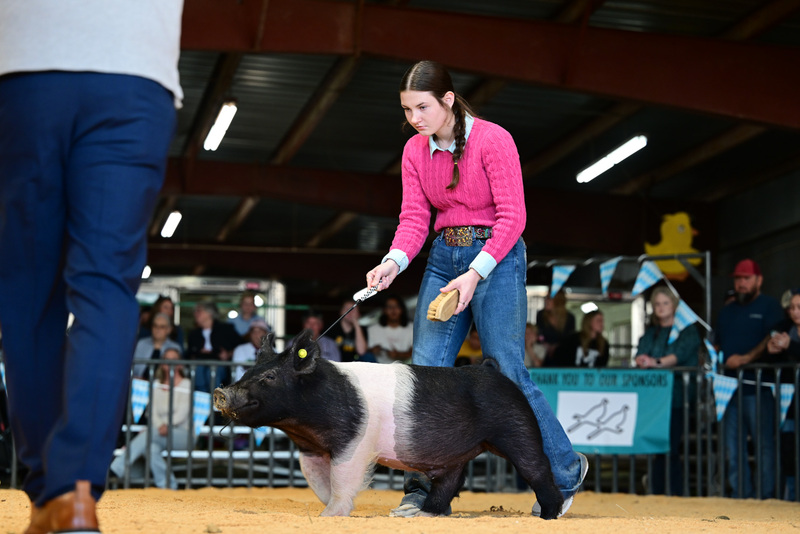 25GTT- RingAHamps-8326.jpg