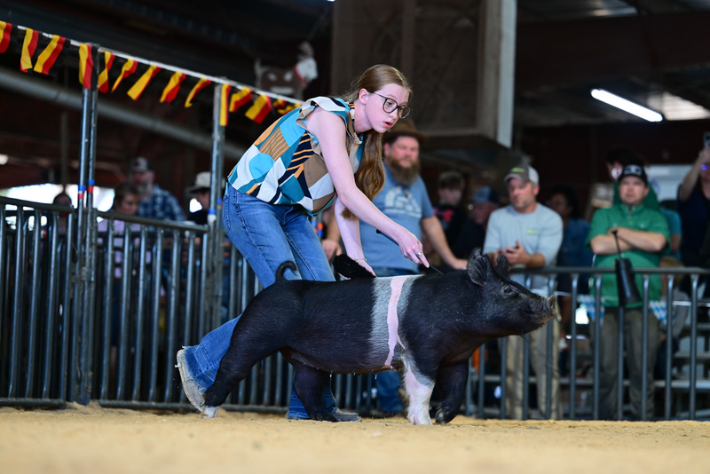 25GTT- RingAHamps-8327.jpg