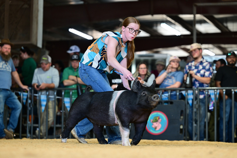 25GTT- RingAHamps-8329.jpg