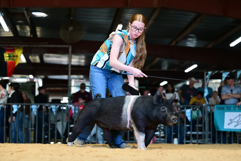 25GTT- RingAHamps-8332.jpg