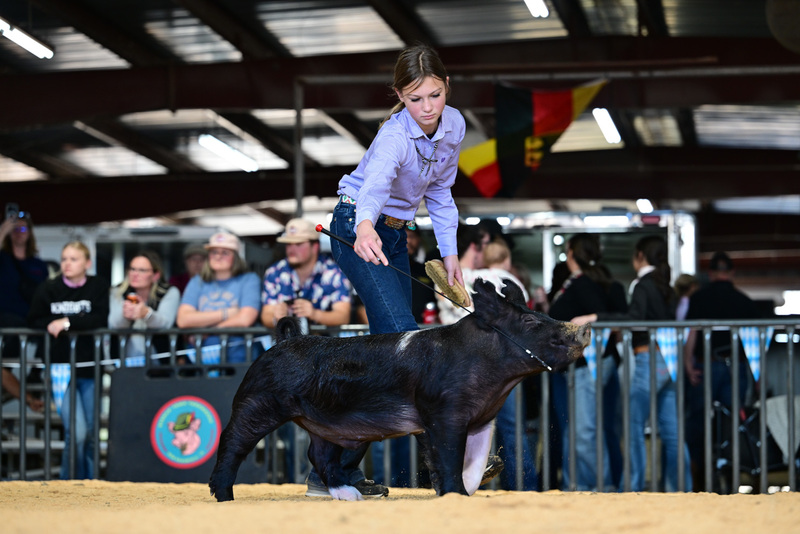 25GTT- RingAHamps-8334.jpg