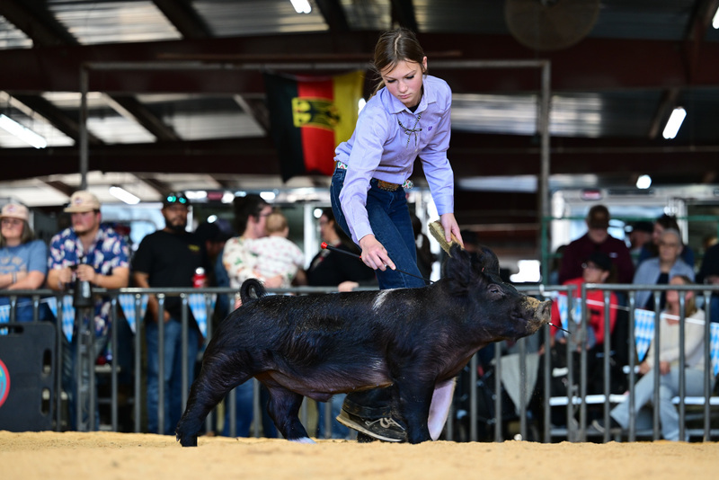 25GTT- RingAHamps-8335.jpg