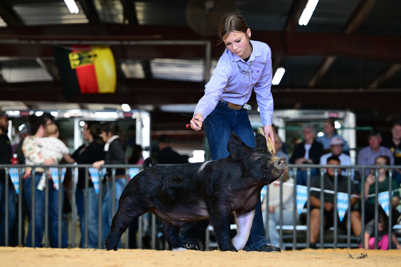 25GTT- RingAHamps-8336.jpg