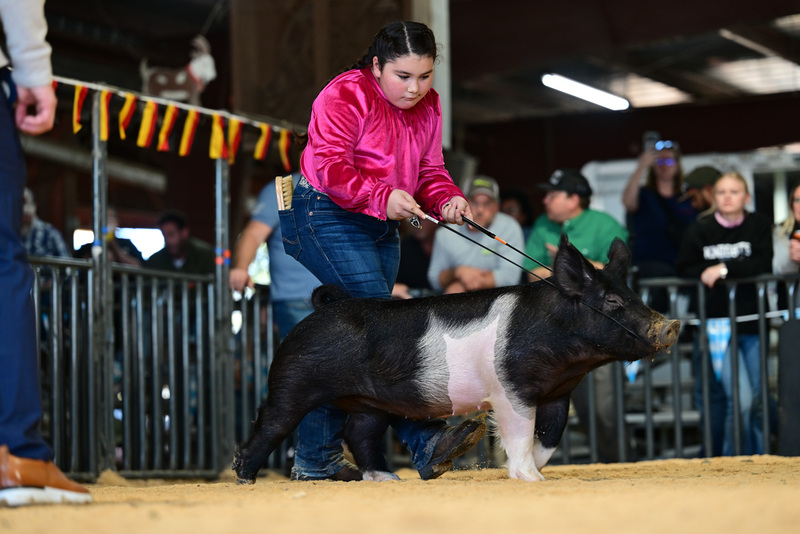 25GTT- RingAHamps-8339.jpg