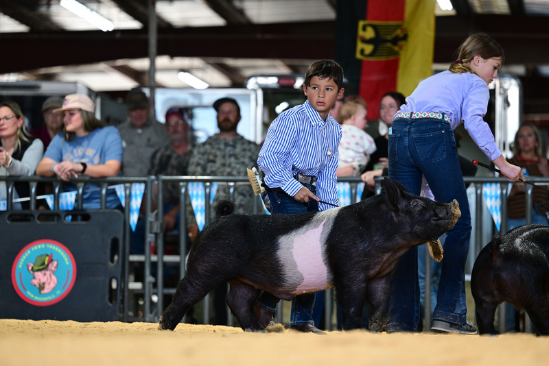 25GTT- RingAHamps-8342.jpg