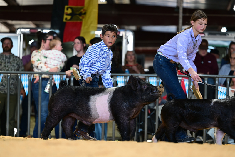 25GTT- RingAHamps-8343.jpg