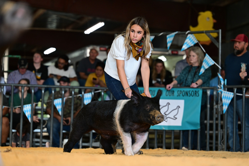 25GTT- RingAHamps-8346.jpg