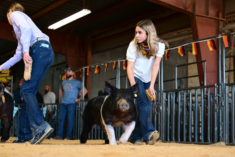 25GTT- RingAHamps-8348.jpg