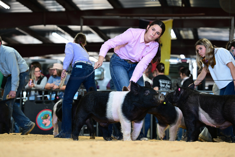 25GTT- RingAHamps-8351.jpg