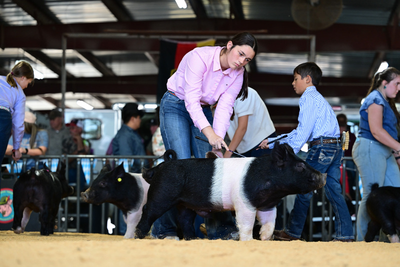 25GTT- RingAHamps-8352.jpg