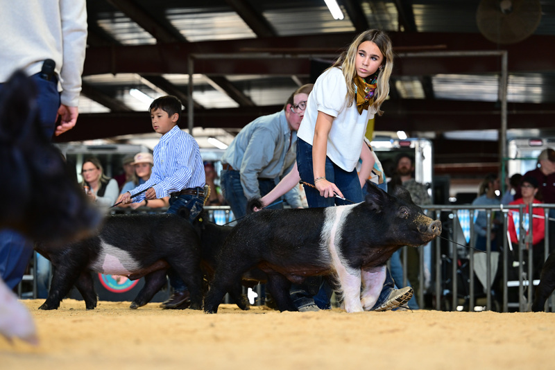 25GTT- RingAHamps-8353.jpg