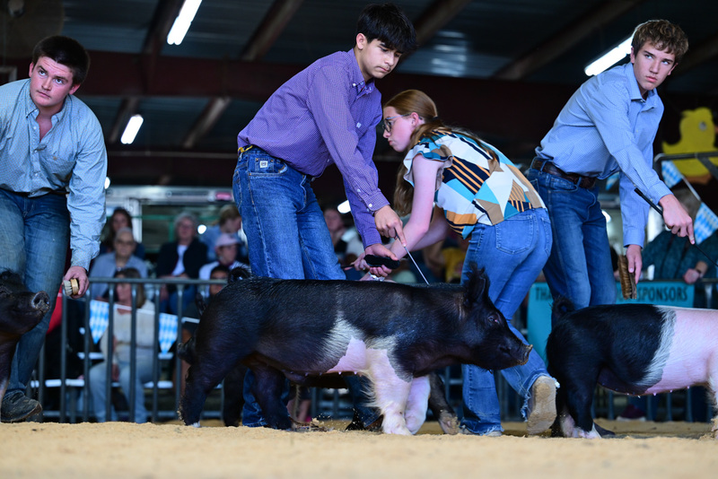 25GTT- RingAHamps-8354.jpg