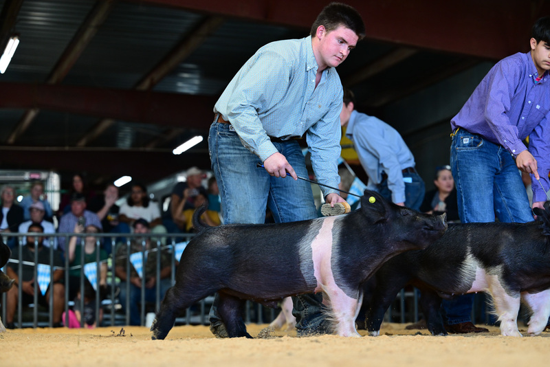 25GTT- RingAHamps-8357.jpg