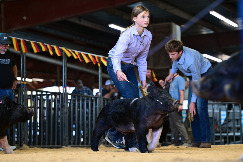 25GTT- RingAHamps-8358.jpg