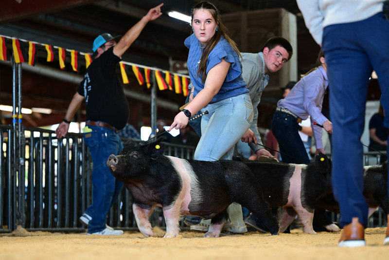 25GTT- RingAHamps-8359.jpg